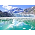 Surprise Glacier - Alaska - 3D Lenticular Postcard Greeting Card Online Hot Sale