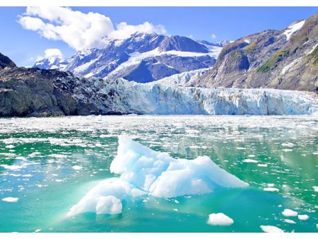 Surprise Glacier - Alaska - 3D Lenticular Postcard Greeting Card Online Hot Sale