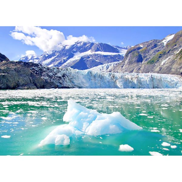 Surprise Glacier - Alaska - 3D Lenticular Postcard Greeting Card Online Hot Sale