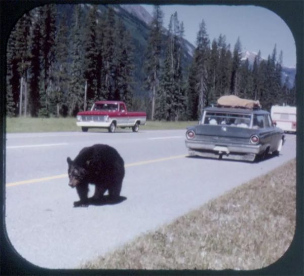 Grand Teton National Park, Wyoming - View-Master 3 Reel Packet - vintage - A307-G1A on Sale