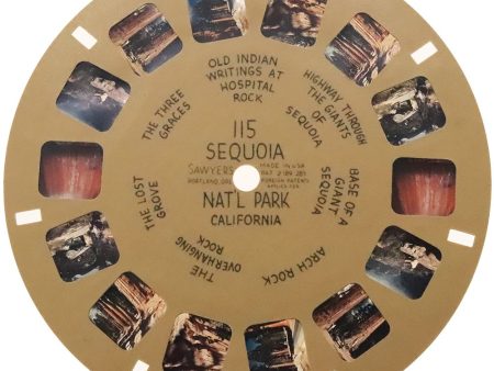 Sequoia National Park - California - View-Master Buff Reel - vintage - (BUF-115n) For Sale