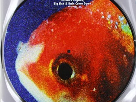 STAPLES, VINCE - BIG FISH THEORY (VINYL) Sale